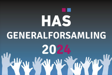 Link til hjemmeside om generalforsamlingen